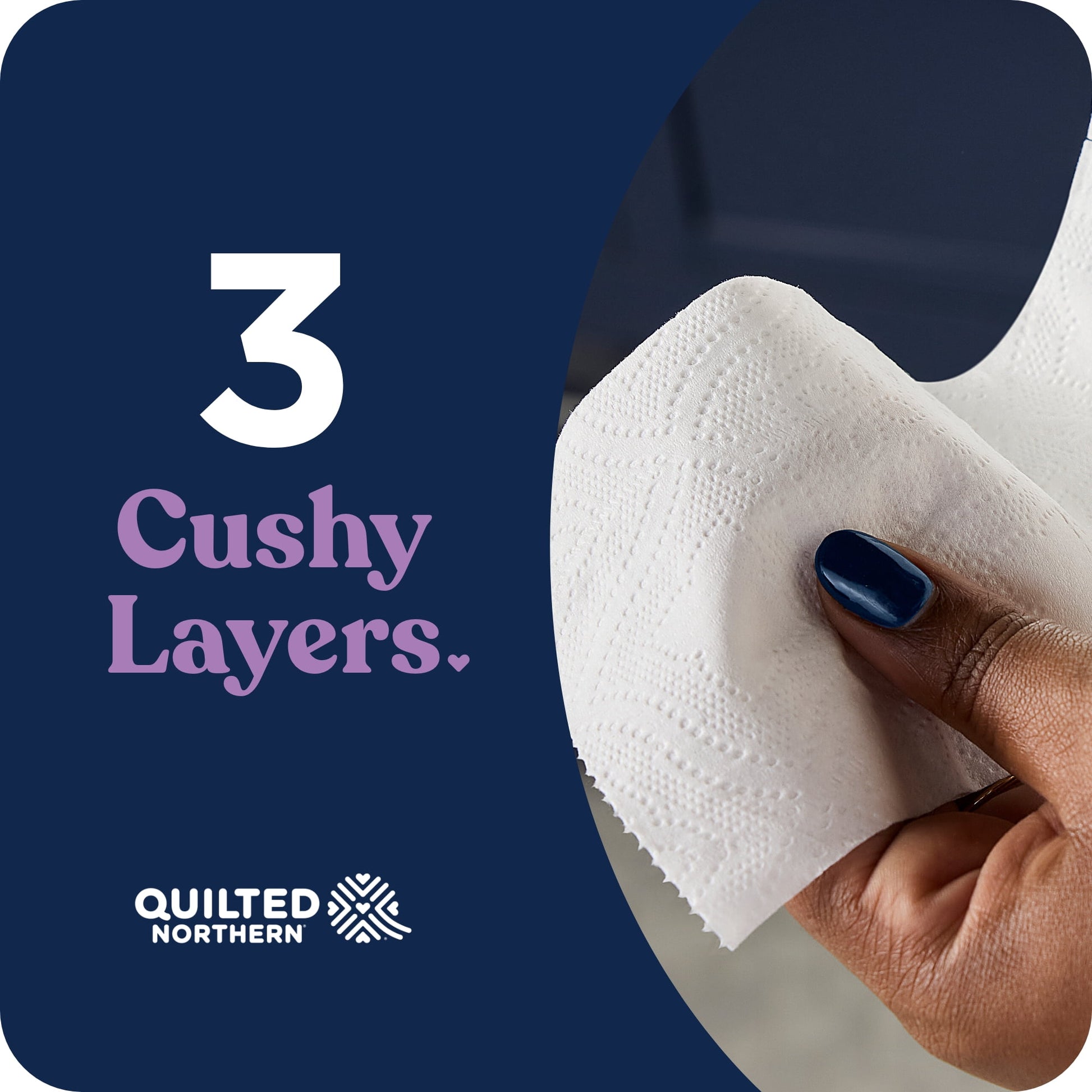 Ultra Plush 3-Ply Toilet Paper, 24 Mega Rolls, 255 Sheets per Roll